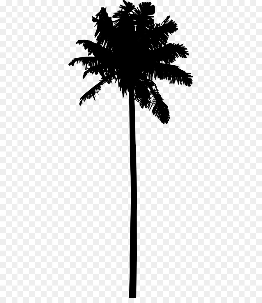 Portable Network Graphics Clip art Silhouette Palm trees Vector graphics - palm tree silhouette png icons png download - 429*1024 - Free Transparent Silhouette png Download.