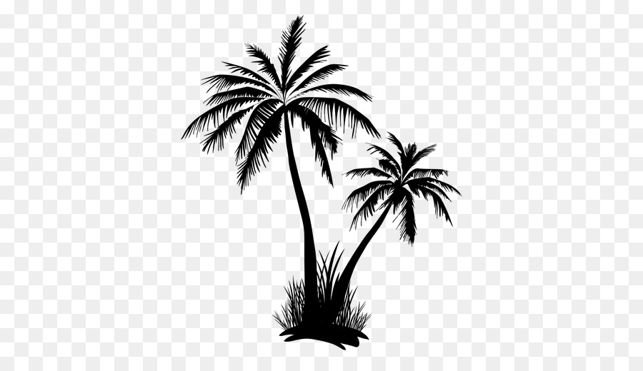 Arecaceae Tree Clip art - coconut tree vector png download - 512*512 - Free Transparent Arecaceae png Download.