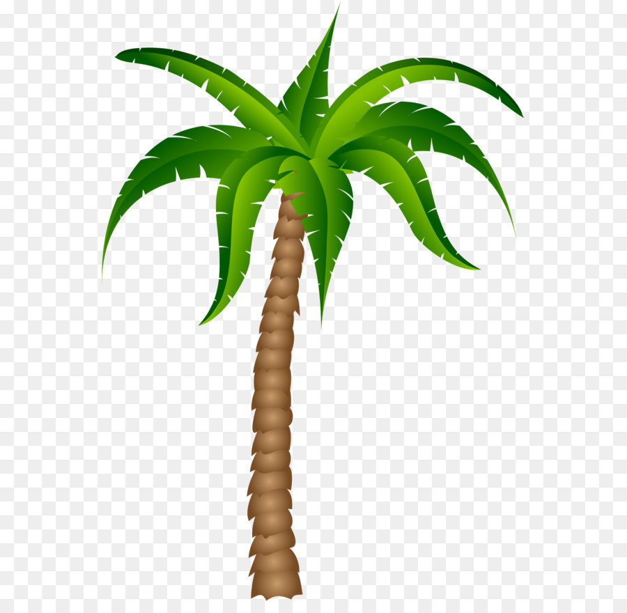 Palm trees Clip art - Palm Tree Transparent Picture png download - 3672*4952 - Free Transparent Arecaceae png Download.