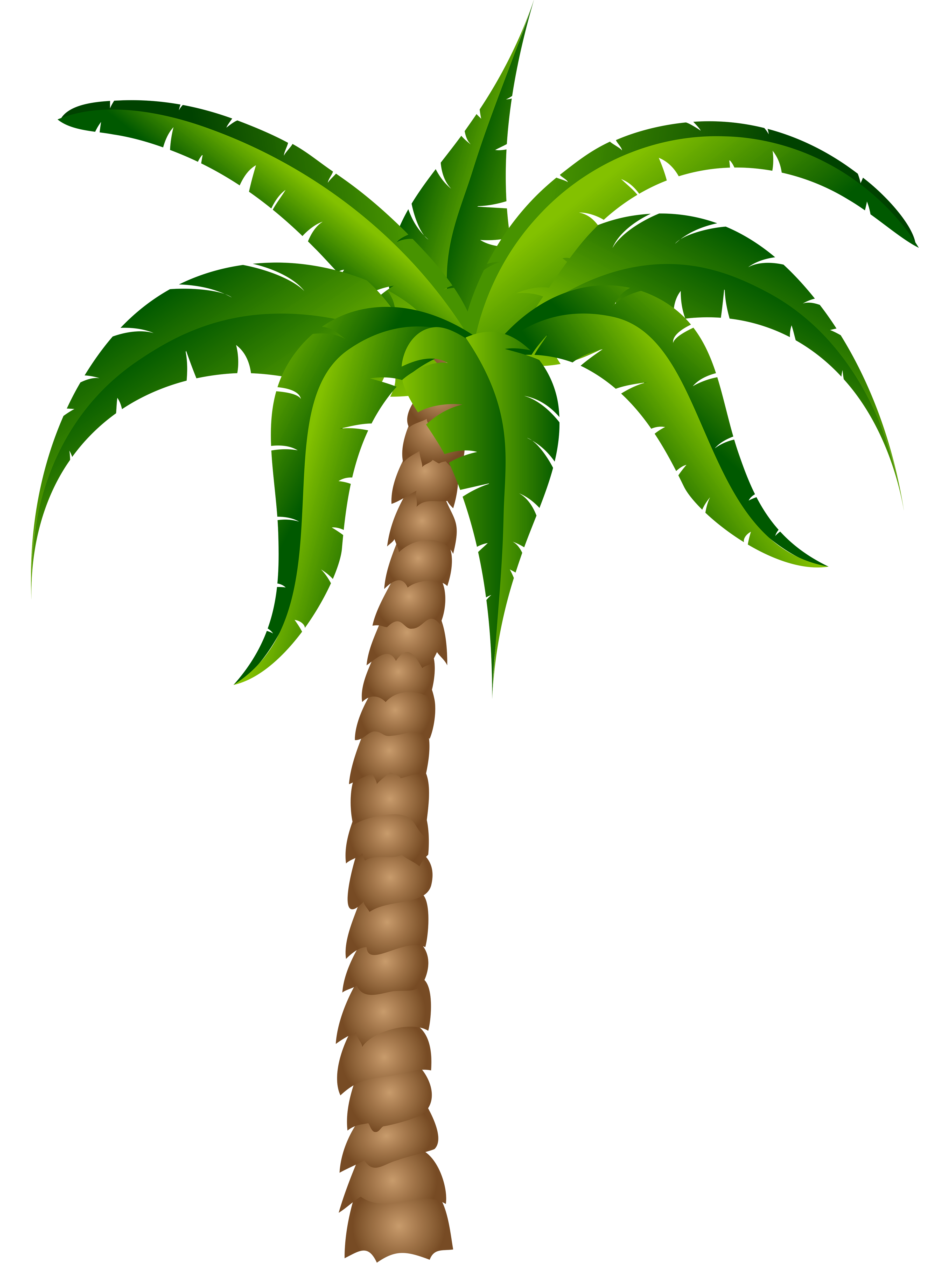 Palm Trees Clip Art Palm Tree Transparent Picture Png Download Free Transparent