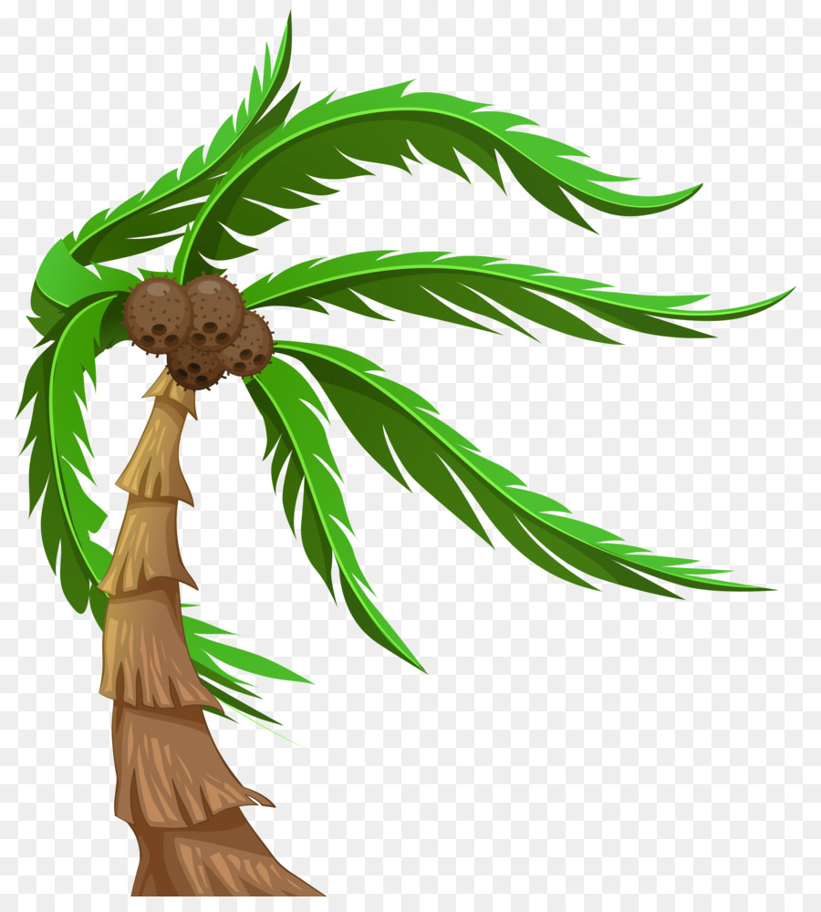 Tree Arecaceae Coconut Clip art - coconut tree png download - 6412*7000 - Free Transparent Tree png Download.