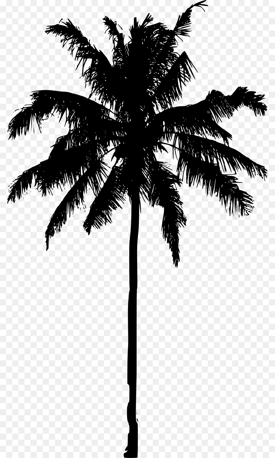 Arecaceae Silhouette Photography - palm tree png download - 851*1500 - Free Transparent Arecaceae png Download.