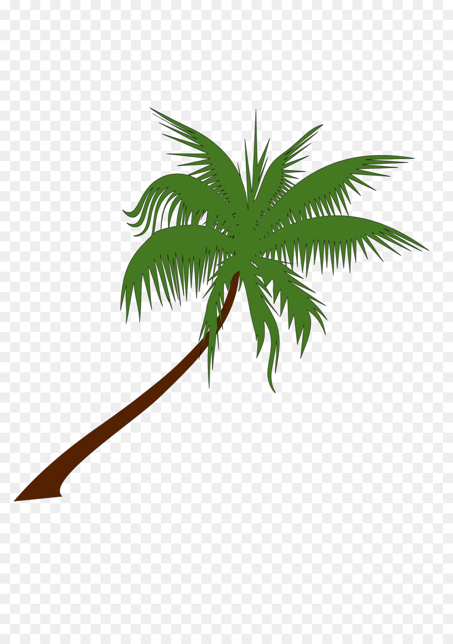 Arecaceae Tree Clip art - Coconut Tree PNG Free Download png download - 2400*3394 - Free Transparent Arecaceae png Download.
