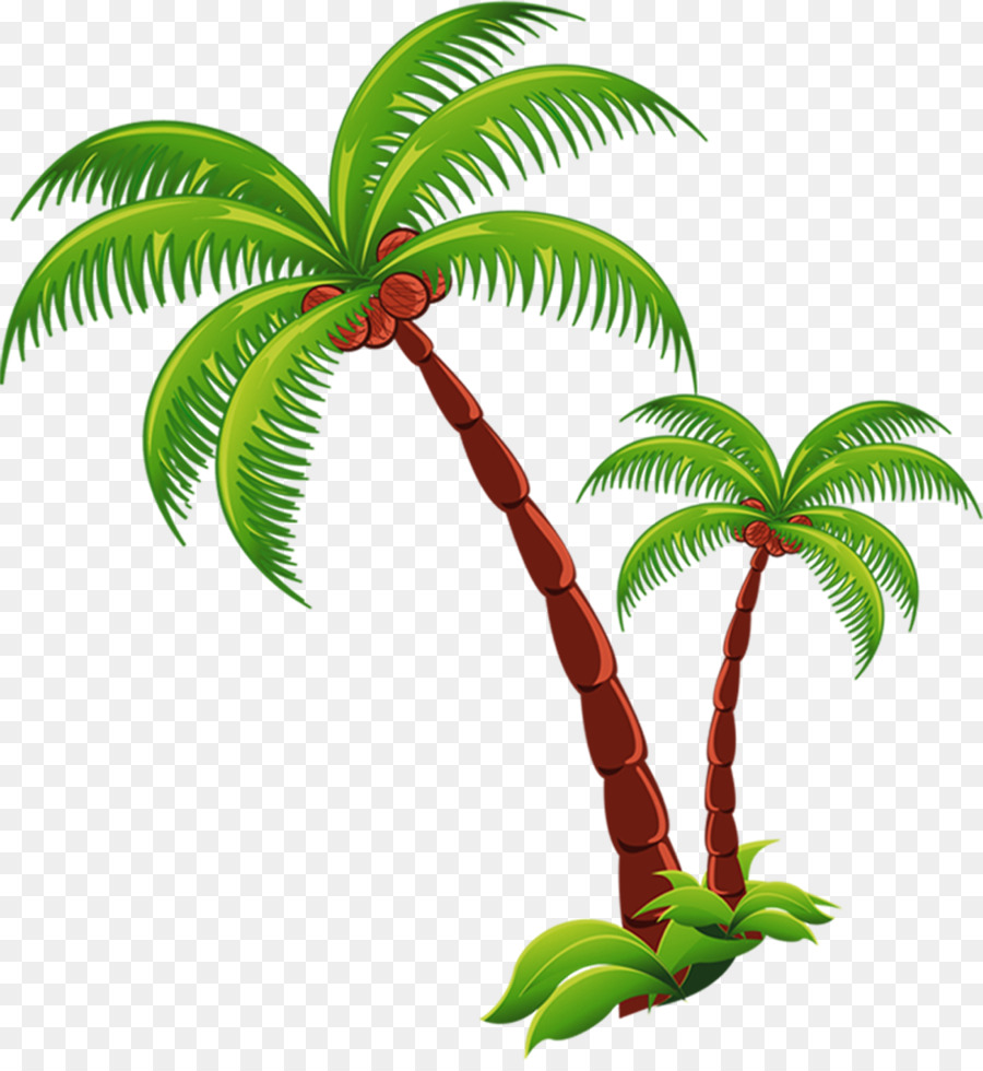Coconut Beach Computer file - coconut tree png download - 1218*1316 - Free Transparent Coconut png Download.