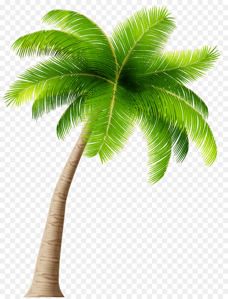 Caladesi RV Park Arecaceae Clip art - palm tree png download - 3836*5000 - Free Transparent Arecaceae png Download.
