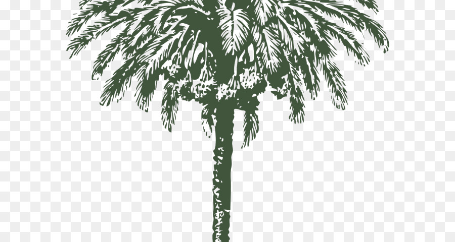 Palm trees Vector graphics Date palm Clip art Image - Palm Nut Vulture png download - 640*480 - Free Transparent Palm Trees png Download.