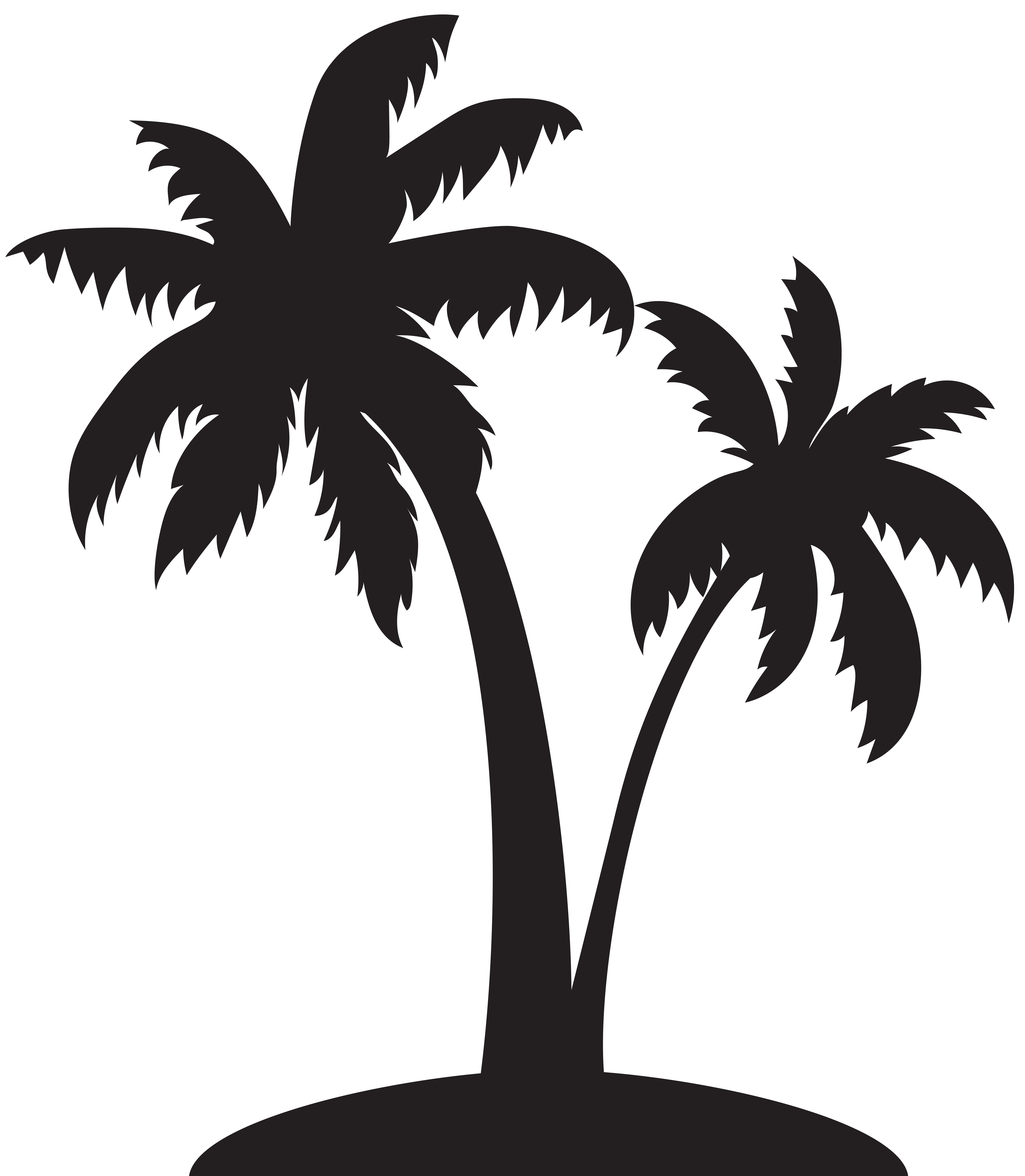 beach palm tree vector.