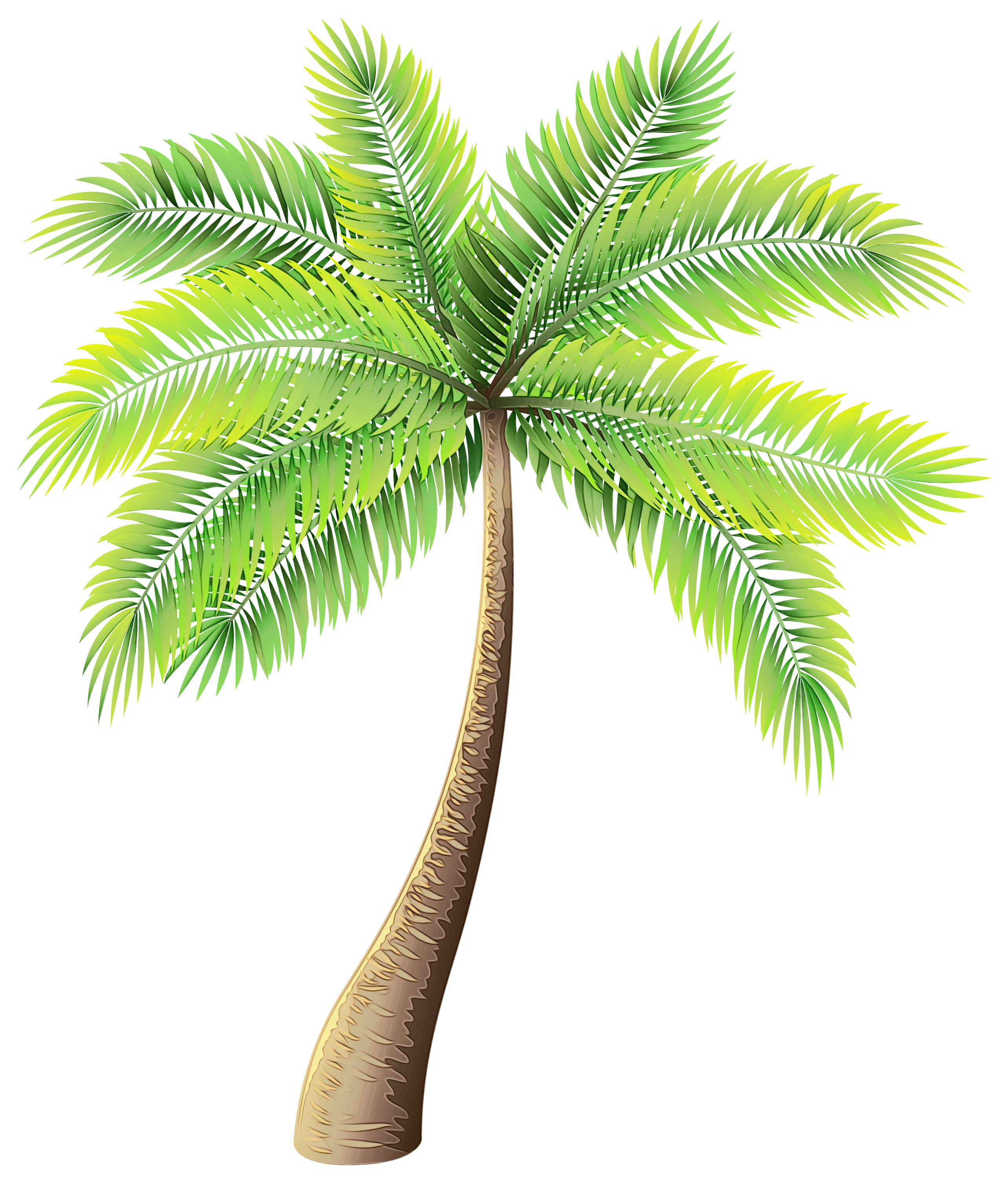 Clip art Palm trees Portable Network Graphics Image Vector graphics