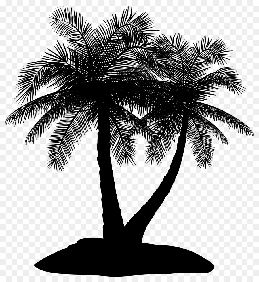 Asian palmyra palm Date palm Palm trees Silhouette Borassus -  png download - 4623*5000 - Free Transparent Asian Palmyra Palm png Download.