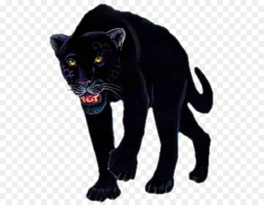 Black panther Tiger Lion Leopard - black panther png download - 623*700 - Free Transparent Black Panther png Download.