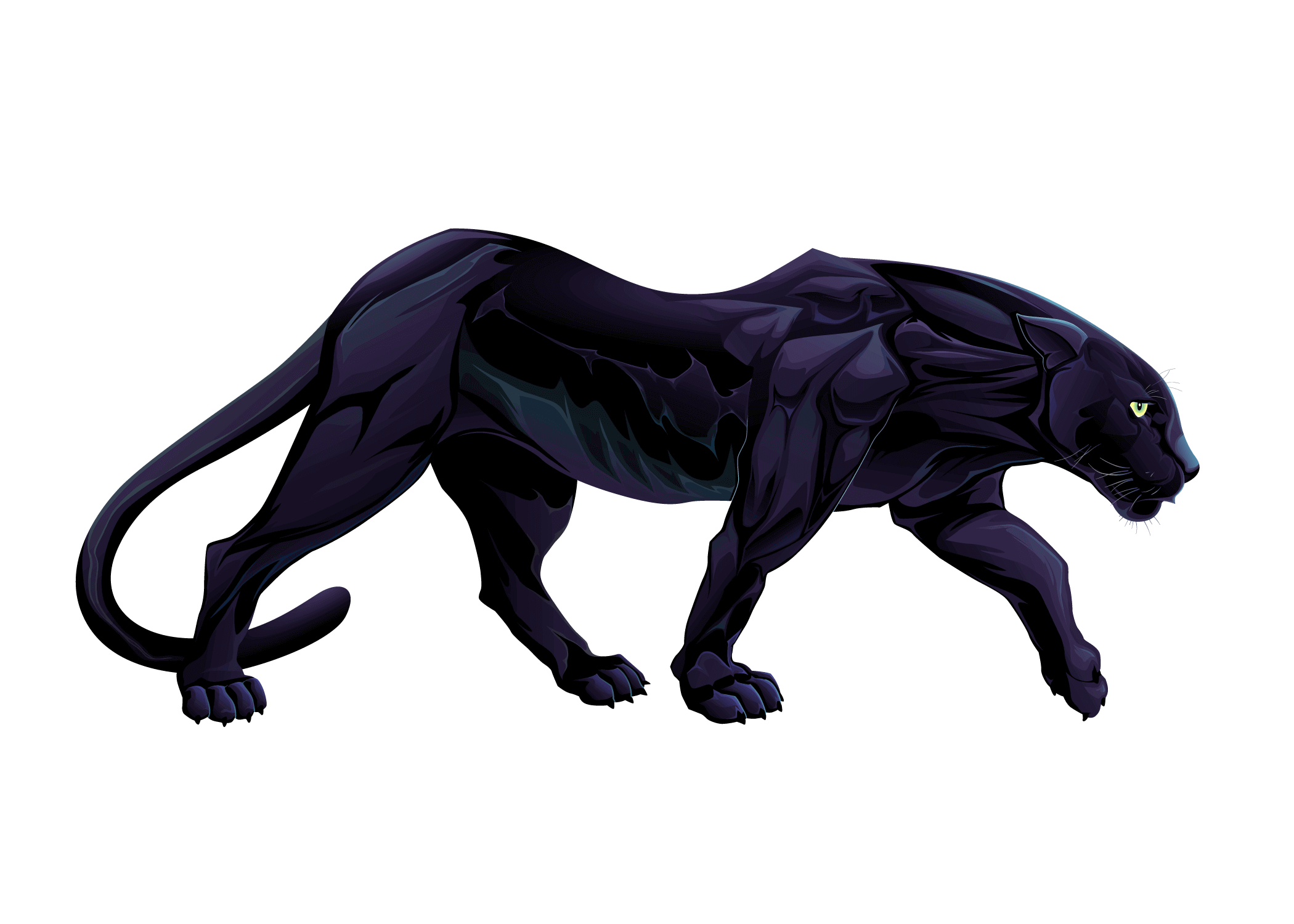 full body black panther animal.