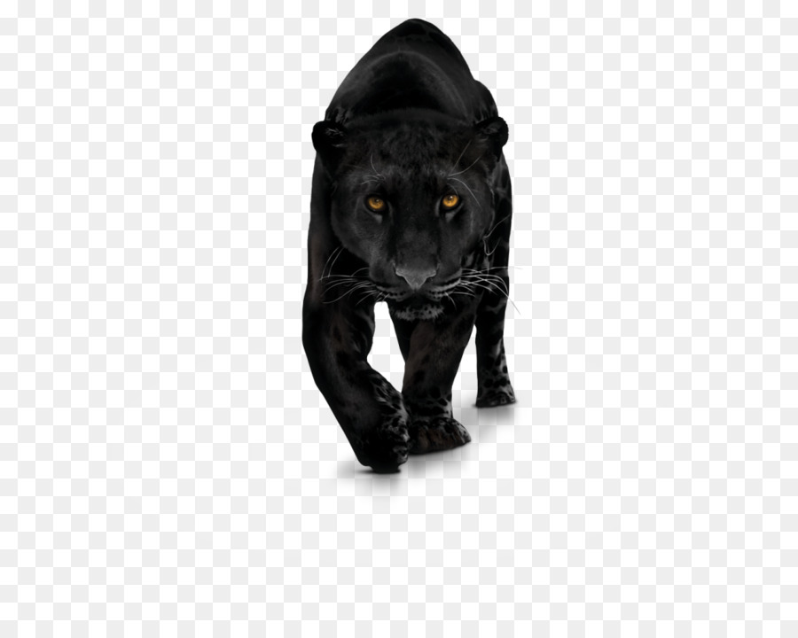 Black panther Computer Icons Clip art - black panther png download - 1024*805 - Free Transparent Black Panther png Download.