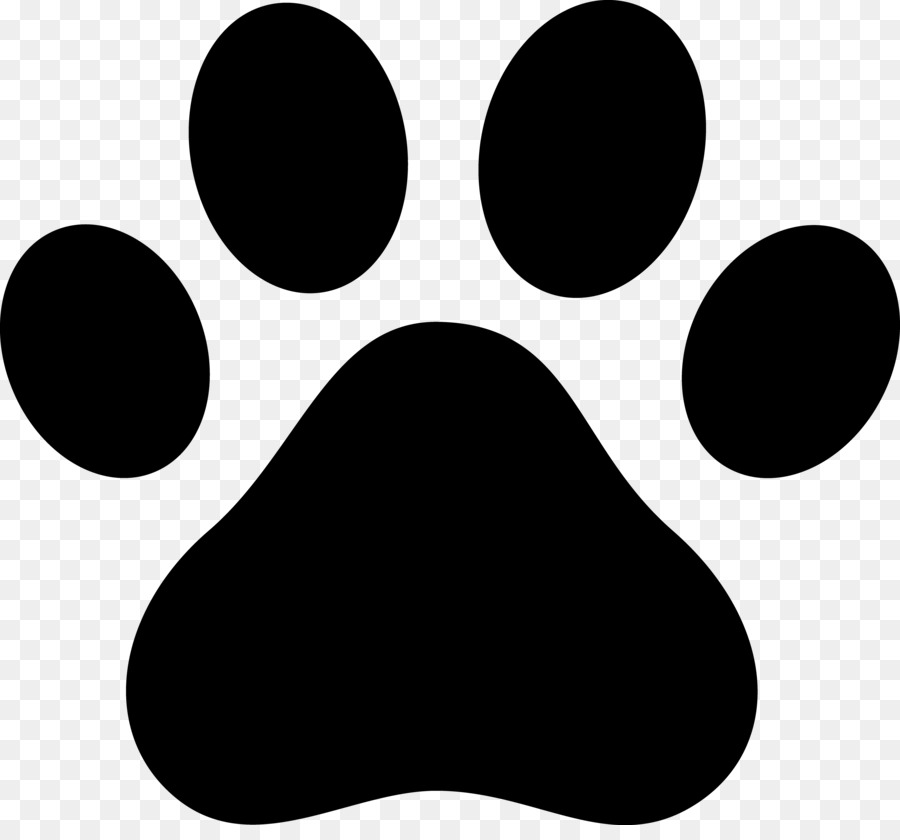 Cat Paw Dog Clip art - paw prints png download - 4106*3765 - Free Transparent Cat png Download.