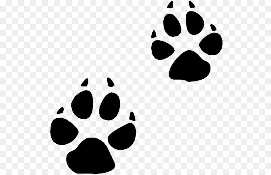 Animal track Tracking Footprint Clip art - ready to print png download - 600*577 - Free Transparent Animal Track png Download.