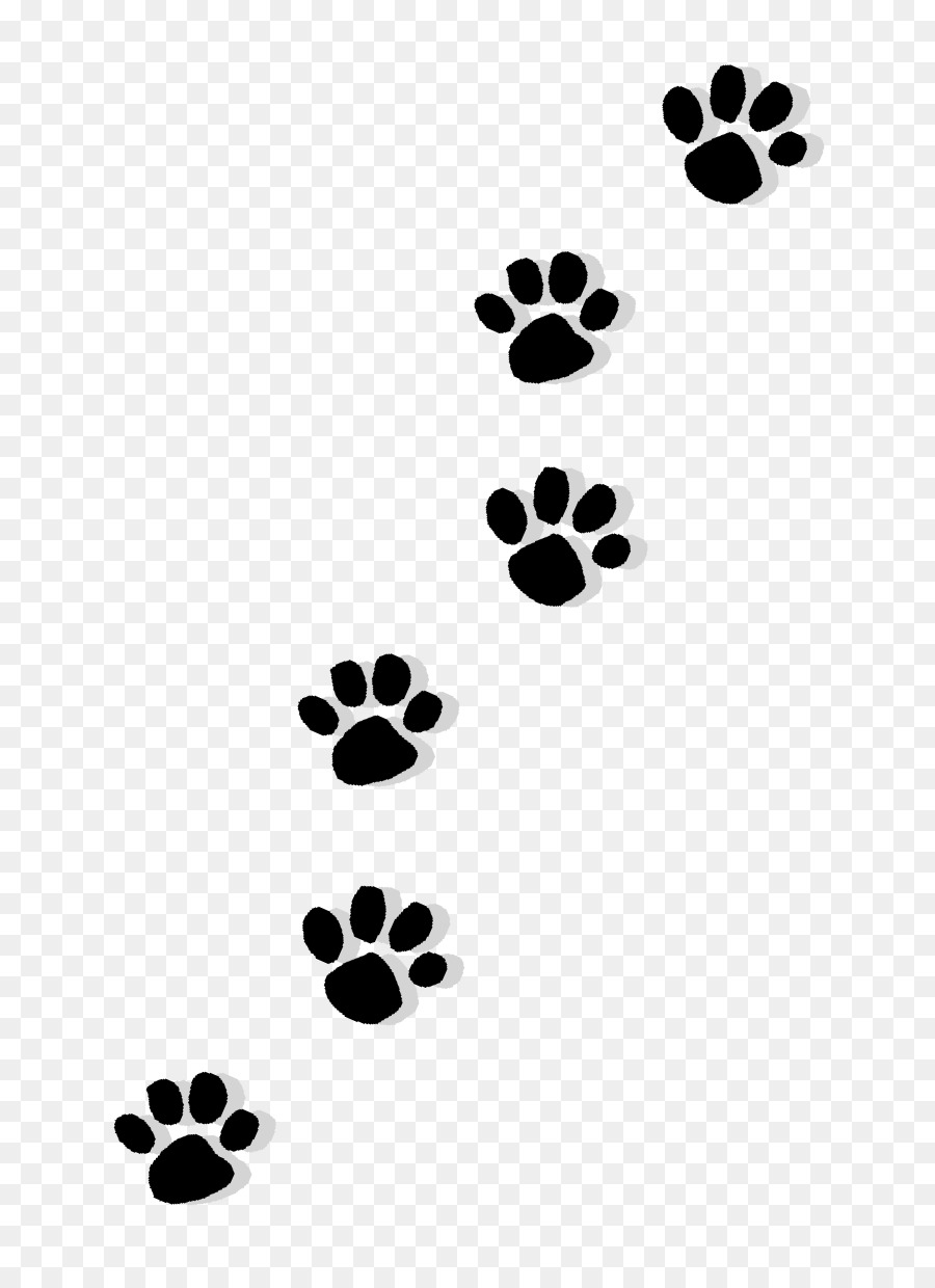 Cat Puppy Dachshund Paw Printing - claws png download - 726*1231 - Free Transparent Cat png Download.