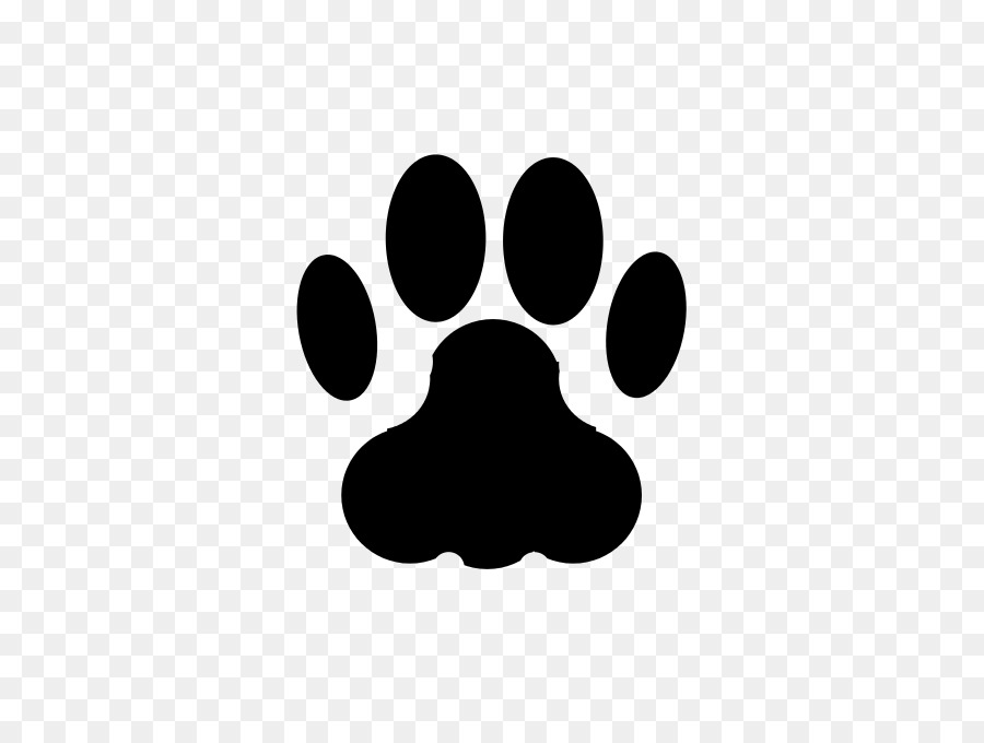 Cat Dog Paw Animal track Footprint - cat footprint png download - 512*663 - Free Transparent Cat png Download.