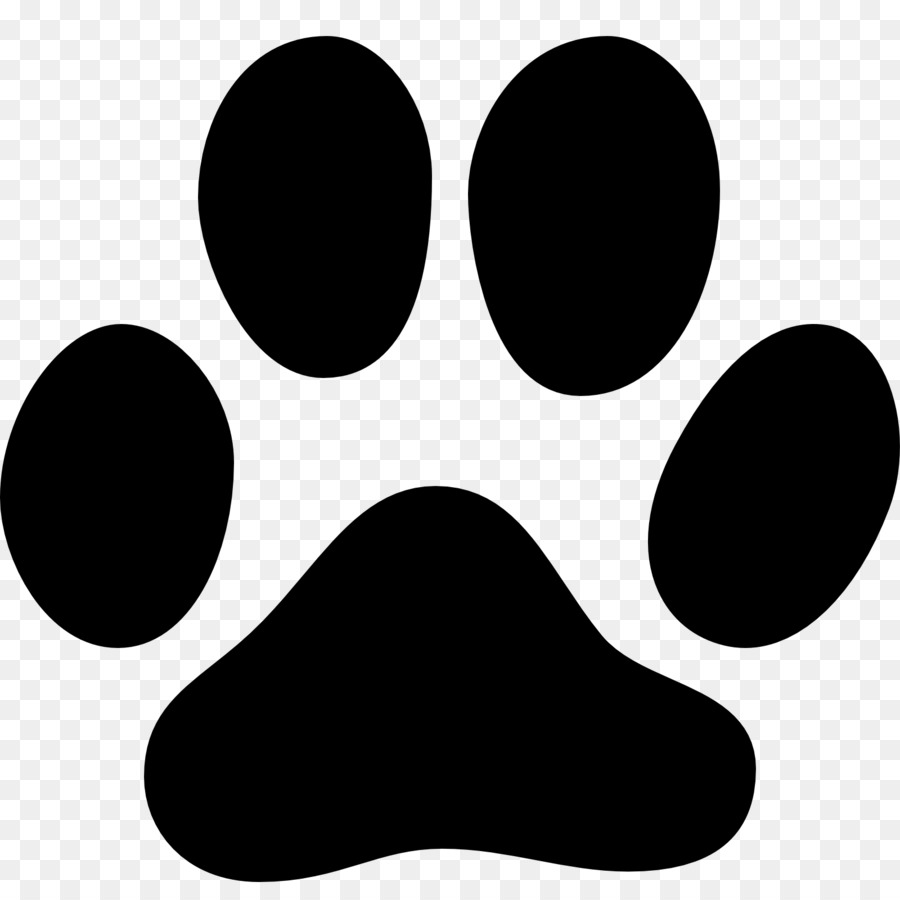 Dog Cat Paw Animal track Footprint - footprint png download - 1600*1600 - Free Transparent Dog png Download.