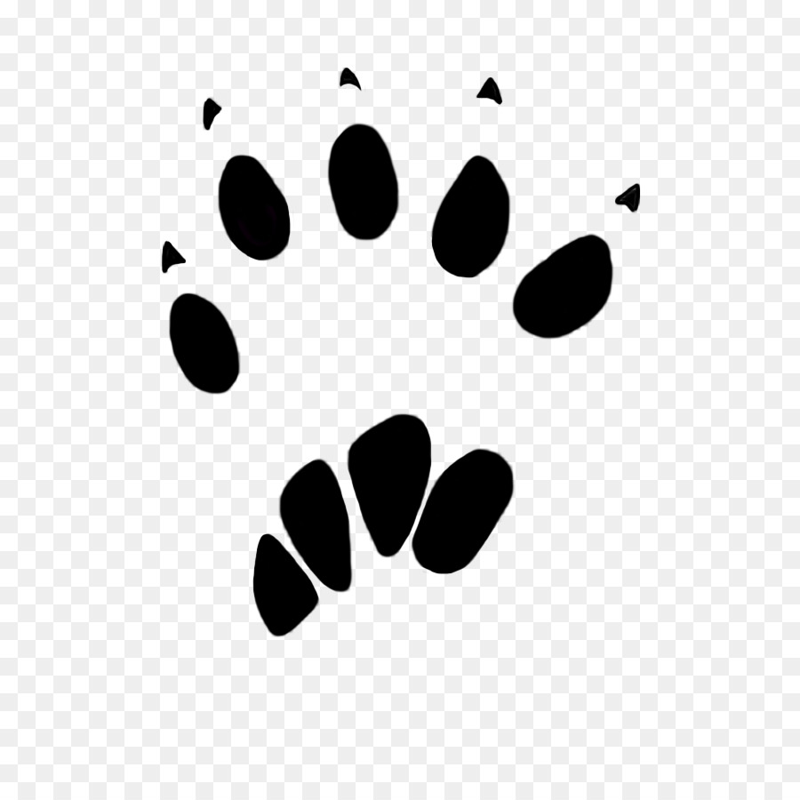 Squirrel Paw Dog Animal track Clip art - cat footprints png download - 719*899 - Free Transparent Squirrel png Download.