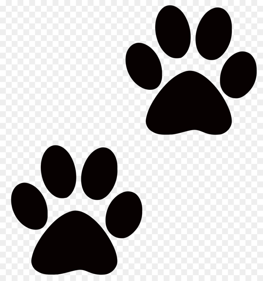 Dog Cat Paw Desktop Wallpaper Clip art - poster background png download - 3333*3541 - Free Transparent Dog png Download.