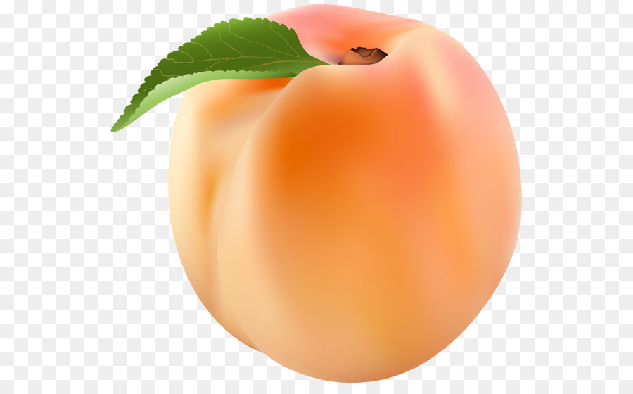 Nectarine Peach Clip art - peach png download - 600*549 - Free Transparent Nectarine png Download.
