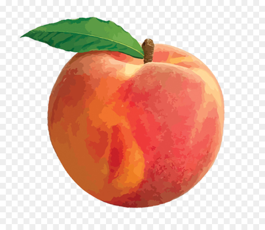 Peach Clip art - peach png download - 768*768 - Free Transparent Peach png Download.