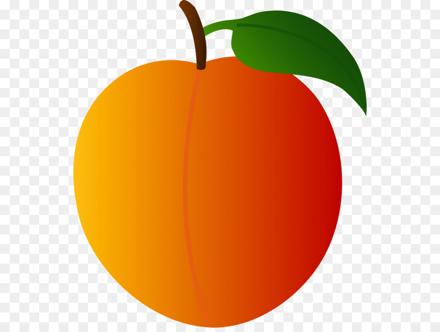 Peach Clip art - peach png download - 600*671 - Free Transparent Peach png Download.