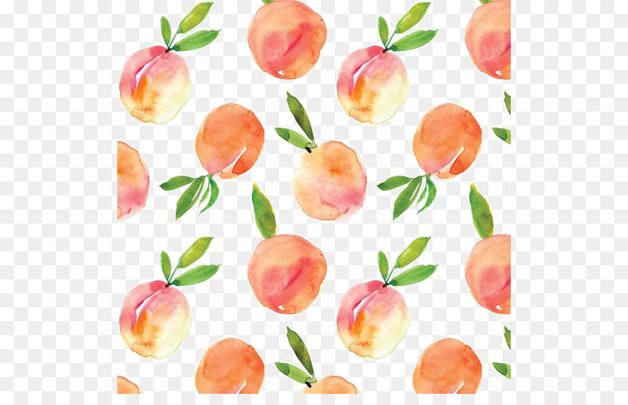 Peach Watercolor painting Drawing - Peaches Shading png download - 564*564 - Free Transparent Peach png Download.