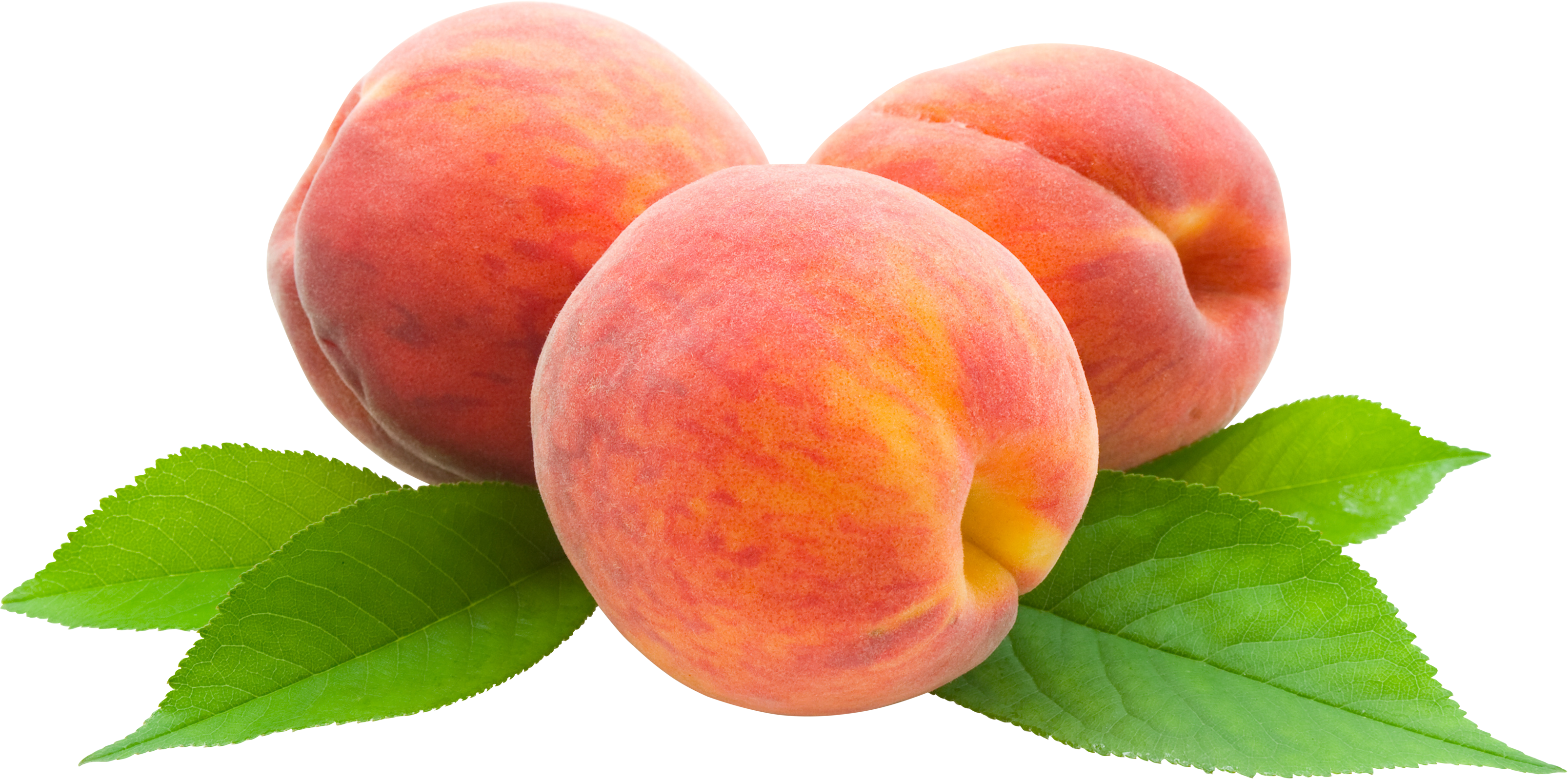 peaches png
