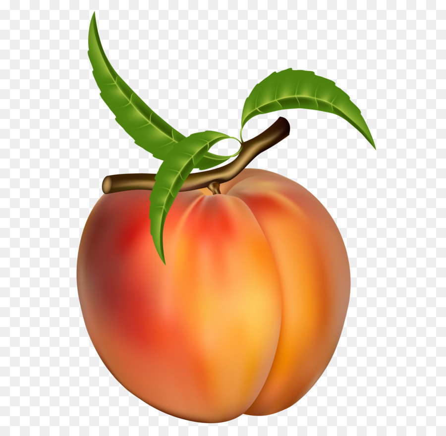 Peach Fruit Apricot Clip art - Peach Transparent PNG Clipart Picture png download - 3222*4344 - Free Transparent Nectarine png Download.