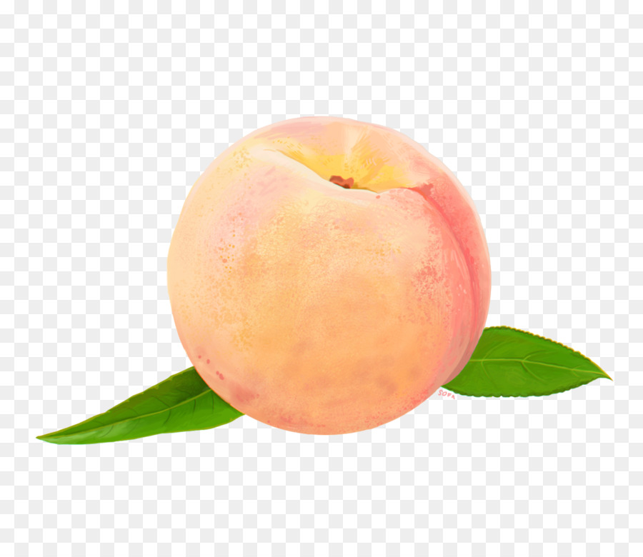 Peach Food Clip art - peach png download - 1280*1096 - Free Transparent Peach png Download.