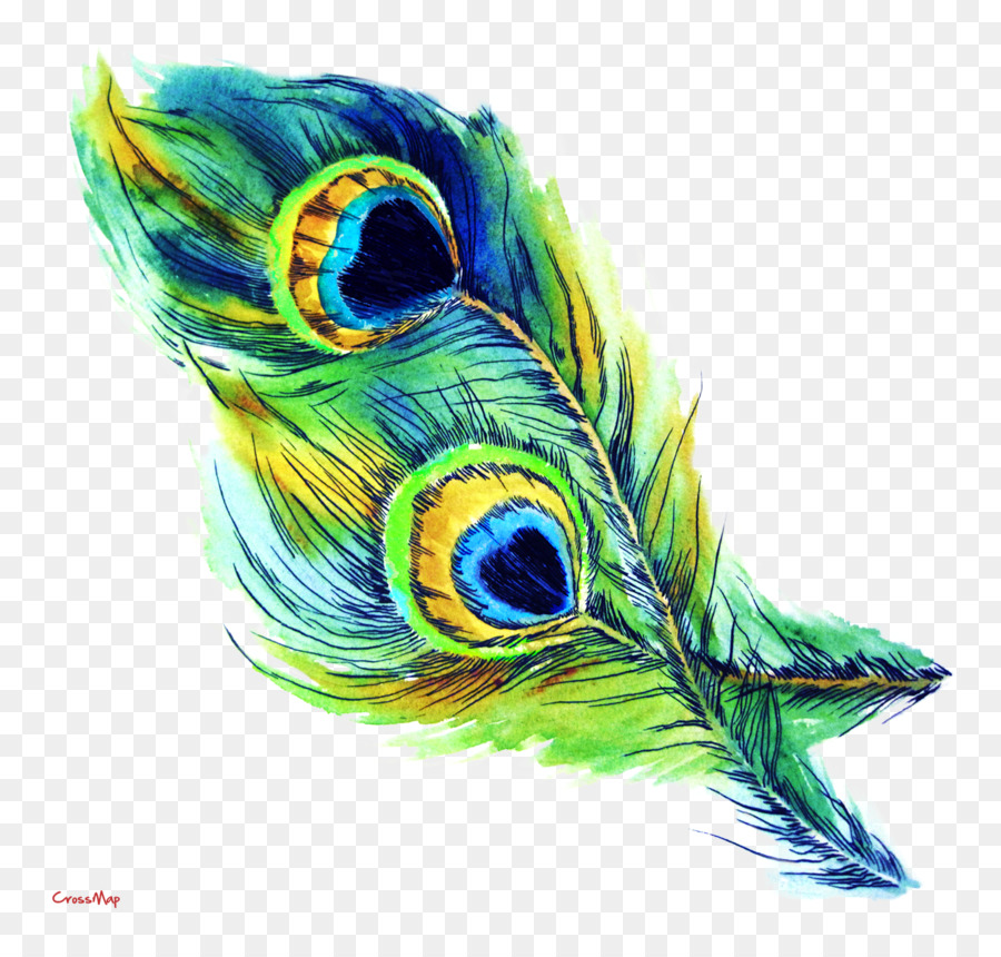 T-shirt Feather Peafowl Drawing Clip art - Peacock Feather png download - 1353*1281 - Free Transparent Tshirt png Download.