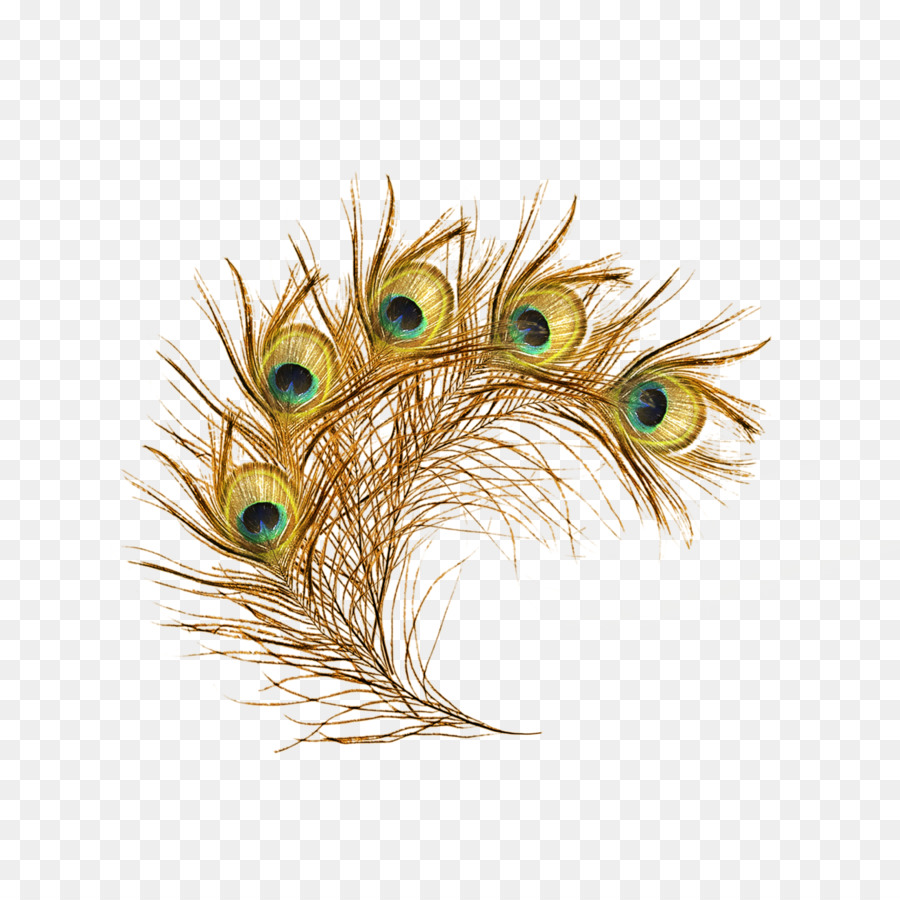 Feather Asiatic peafowl Clip art - Peacock feather png download - 1800*1800 - Free Transparent Feather png Download.