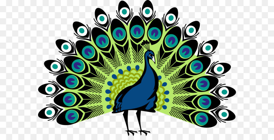 Peafowl Clip art - Peacock PNG png download - 3000*2063 - Free Transparent Bird png Download.