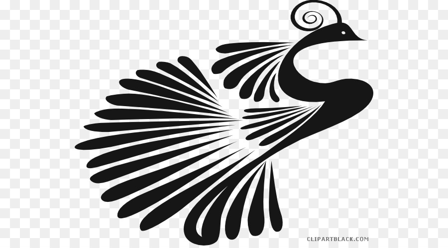 Clip art Indian peafowl Vector graphics Image - Silhouette png download - 600*495 - Free Transparent Peafowl png Download.