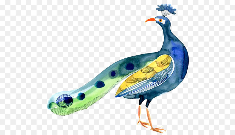 Bird Peafowl - peacock png download - 564*518 - Free Transparent Bird png Download.