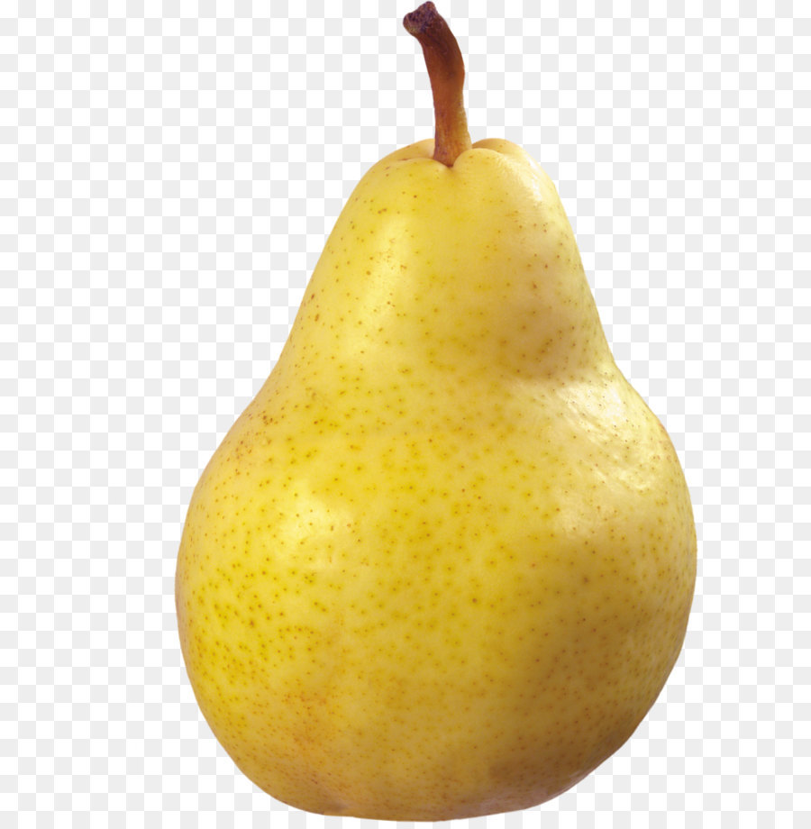 Asian pear Fruit - Pear Png Picture png download - 2131*2998 - Free Transparent Pear png Download.