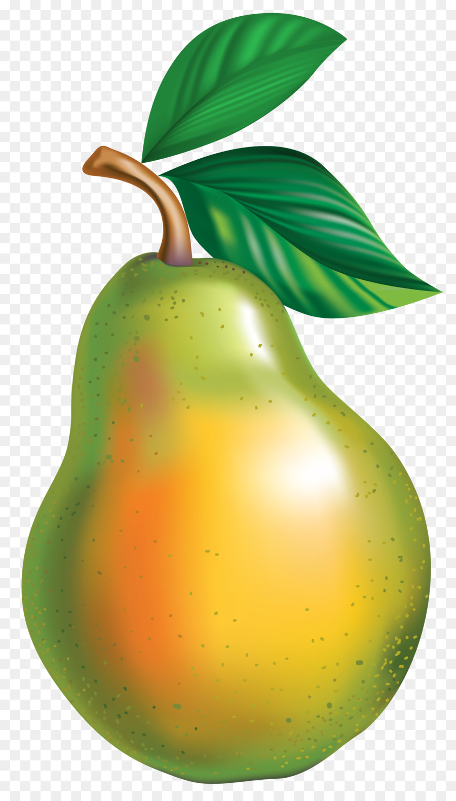 Asian pear Fruit Clip art - pear png download - 2367*4144 - Free Transparent Asian Pear png Download.