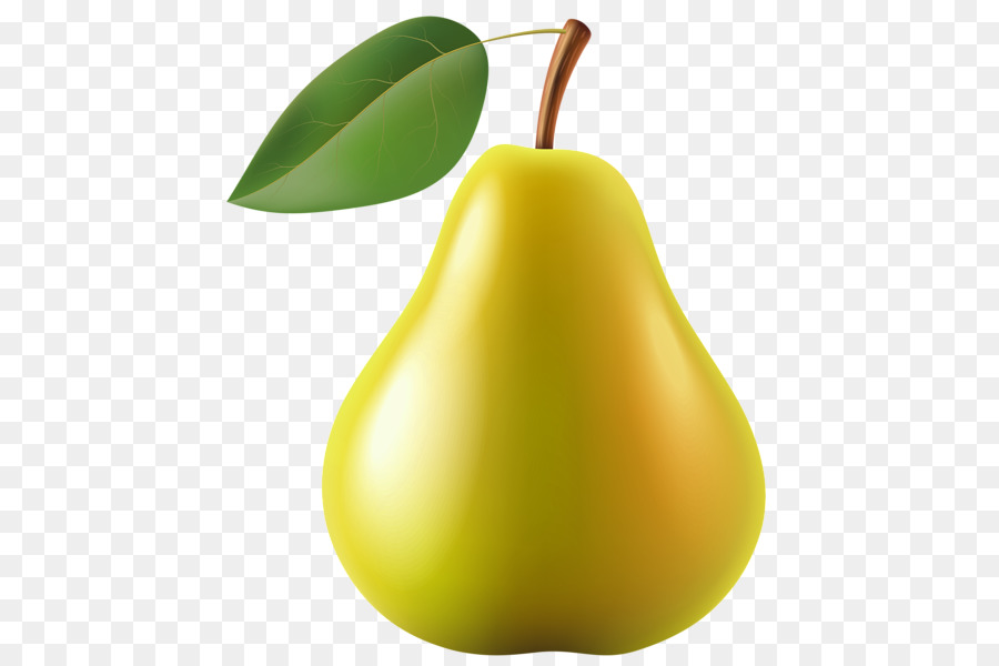 Pear Clip art - pear png download - 499*600 - Free Transparent Pear png Download.
