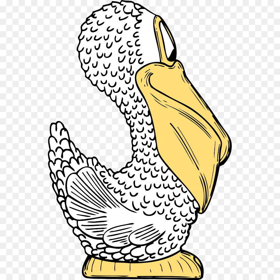 Pelican Euclidean vector Illustration - Cartoon Pelican Pictures png download - 591*900 - Free Transparent Pelican png Download.