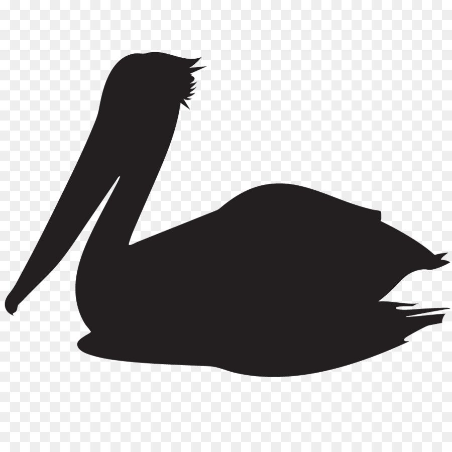 Beak Bird Clip art Silhouette American white pelican - Bird png download - 1024*1024 - Free Transparent Beak png Download.