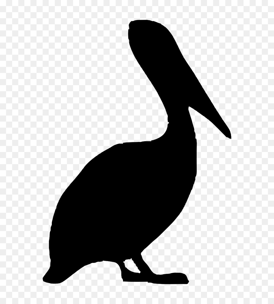 Silhouette Brown pelican Drawing Clip art - Silhouette png download - 750*1000 - Free Transparent Silhouette png Download.