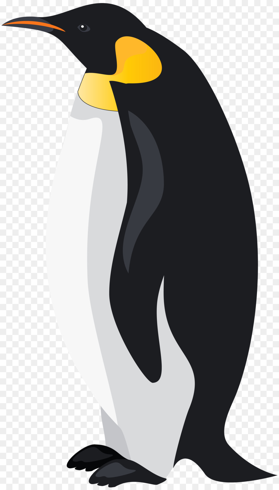 King penguin Bird Emperor Penguin Clip art - penguins png download - 4564*8000 - Free Transparent Penguin png Download.