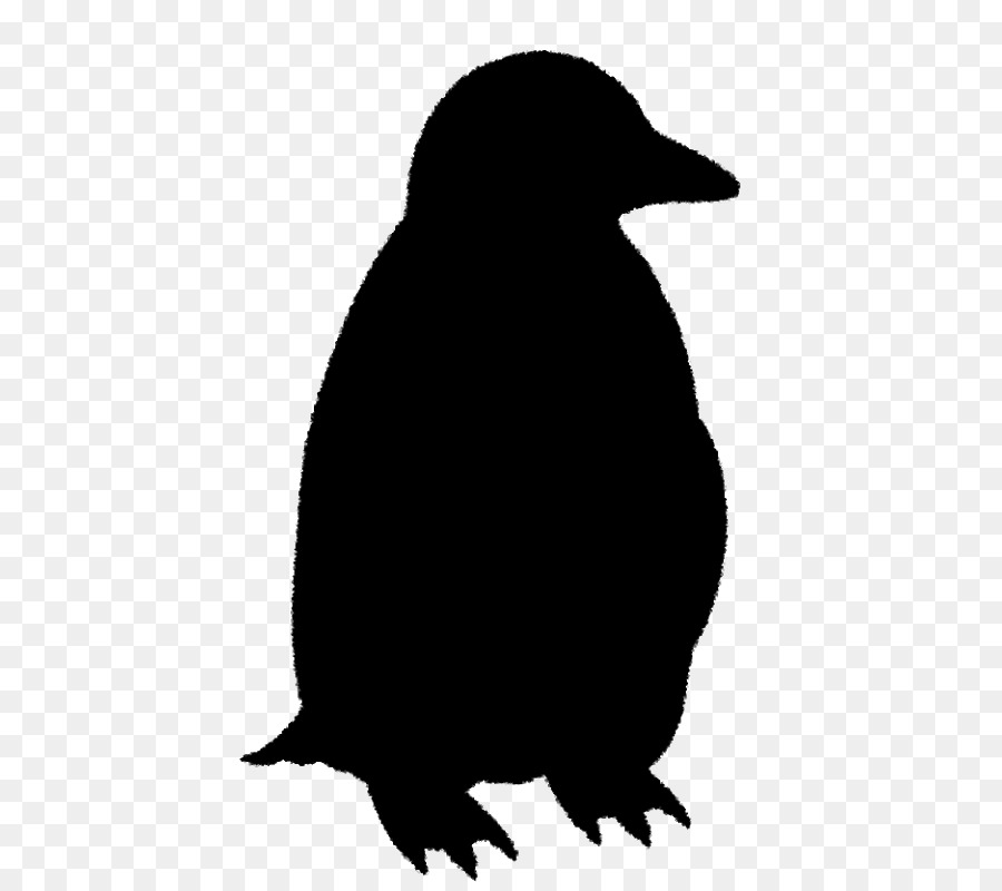 Penguin Clip art Fauna Beak Silhouette -  png download - 572*800 - Free Transparent Penguin png Download.
