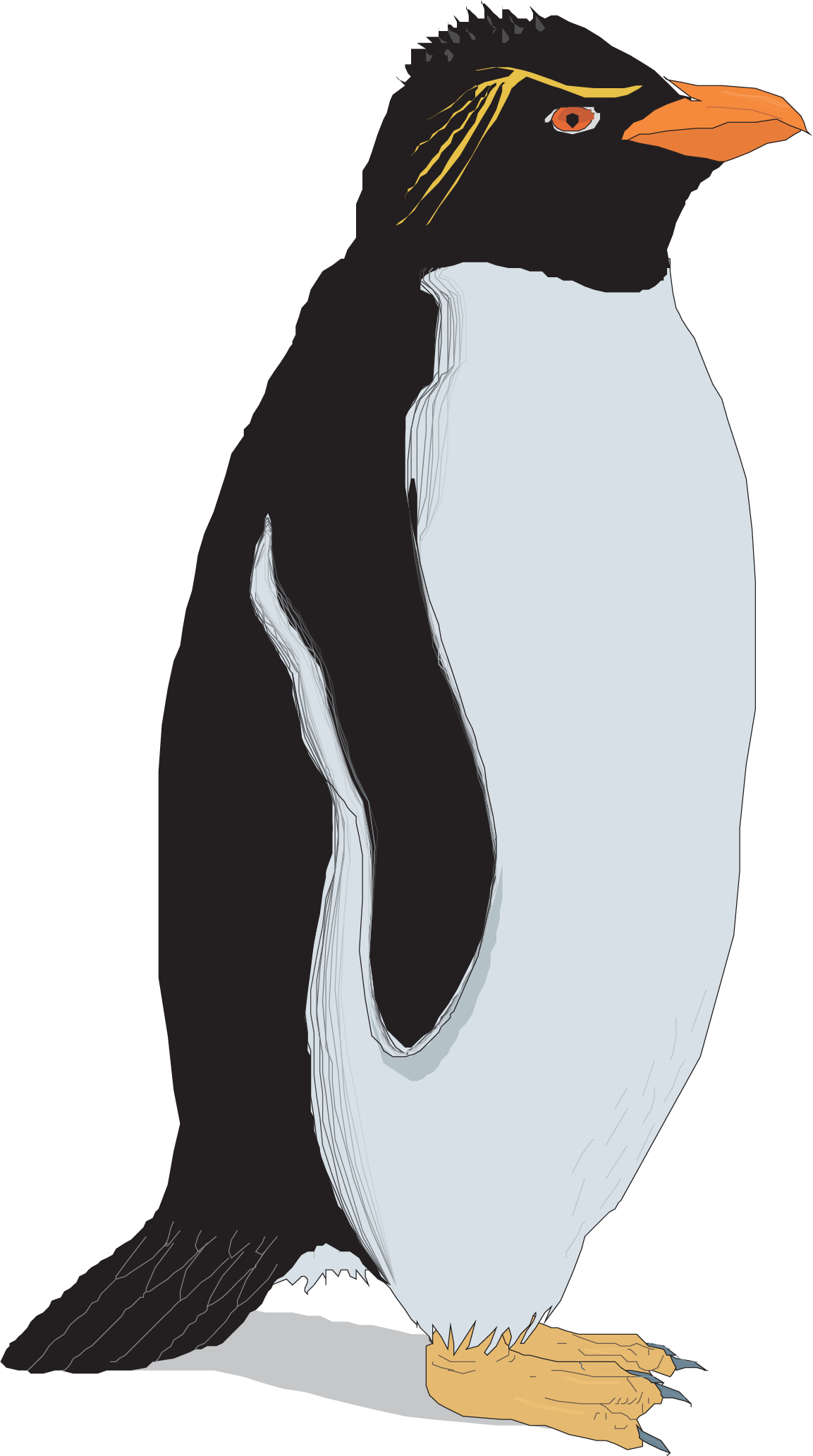 Rockhopper penguin Clip art - Vector hand painted penguins png download