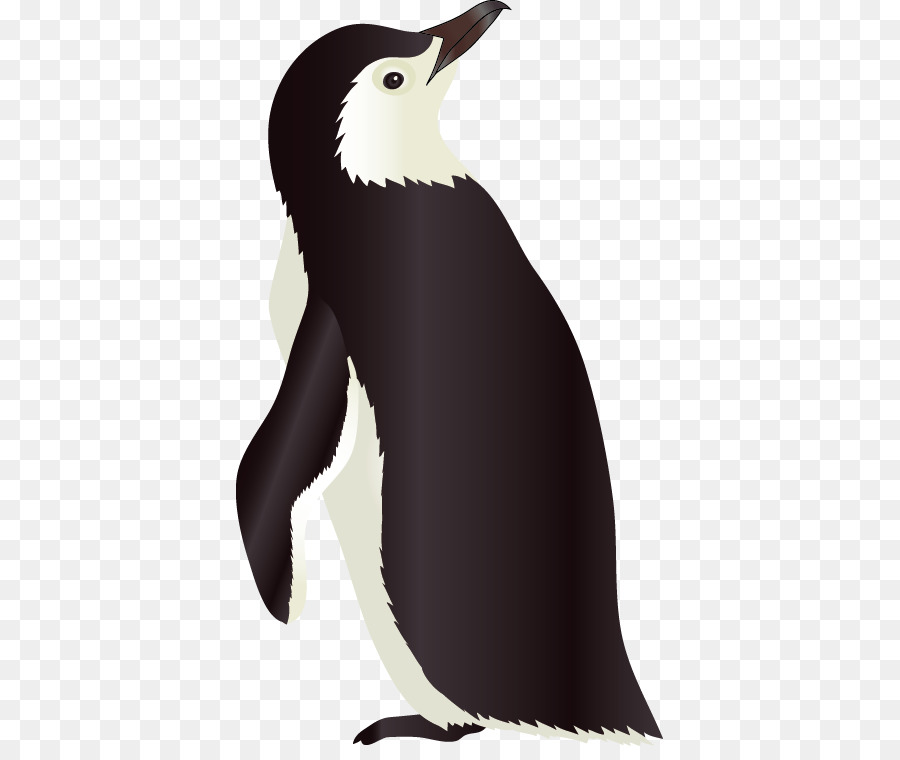 Penguin Razorbills Vecteur - Penguin vector material png download - 427*746 - Free Transparent Penguin png Download.