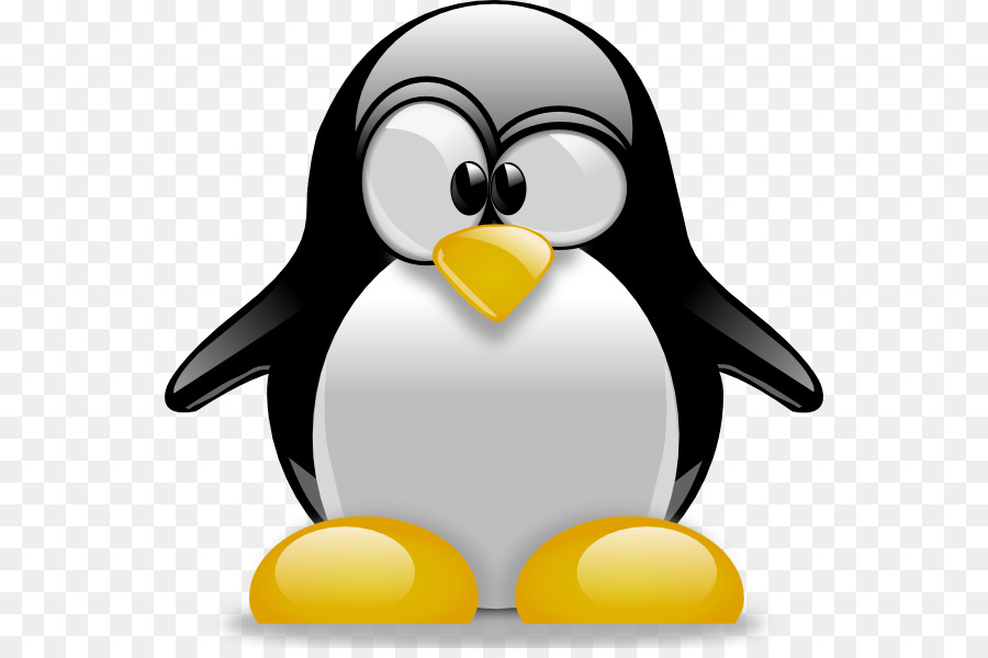 Penguin Cartoon Drawing Clip art - penguin vector png download - 600*591 - Free Transparent Penguin png Download.
