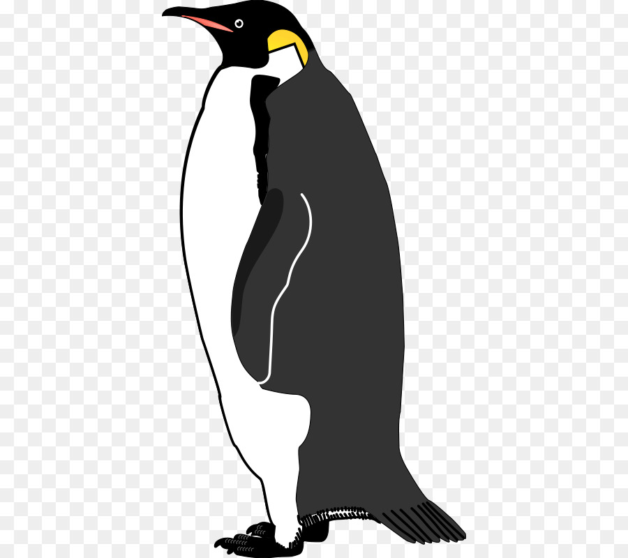 Emperor penguin Bird Vector graphics Image - lovebirds png download - 436*800 - Free Transparent Penguin png Download.
