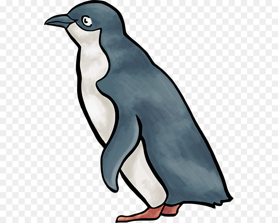 Penguin Clip art Vector graphics Royalty-free Image - Penguin png download - 613*720 - Free Transparent Penguin png Download.