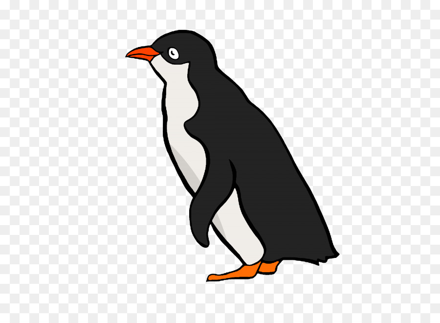 King penguin Clip art Bird Vector graphics - Penguin png download - 900*643 - Free Transparent King Penguin png Download.