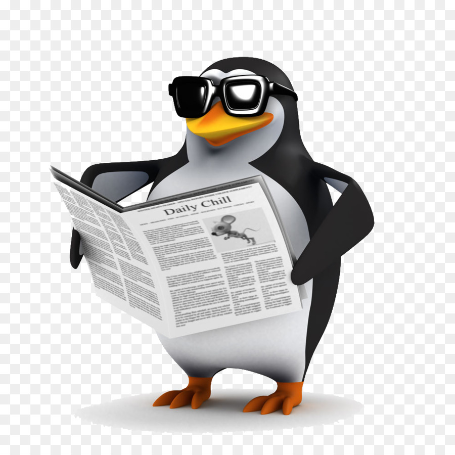 Penguin Bird Shutterstock Stock photography - penguin png download - 1000*1000 - Free Transparent Penguin png Download.